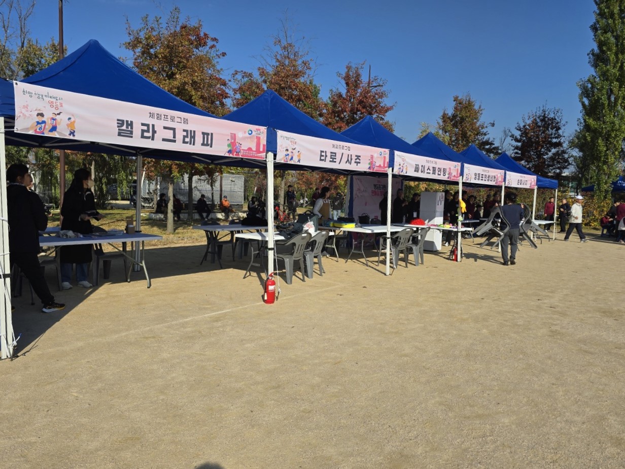 축제 행사 타로 부스 운영